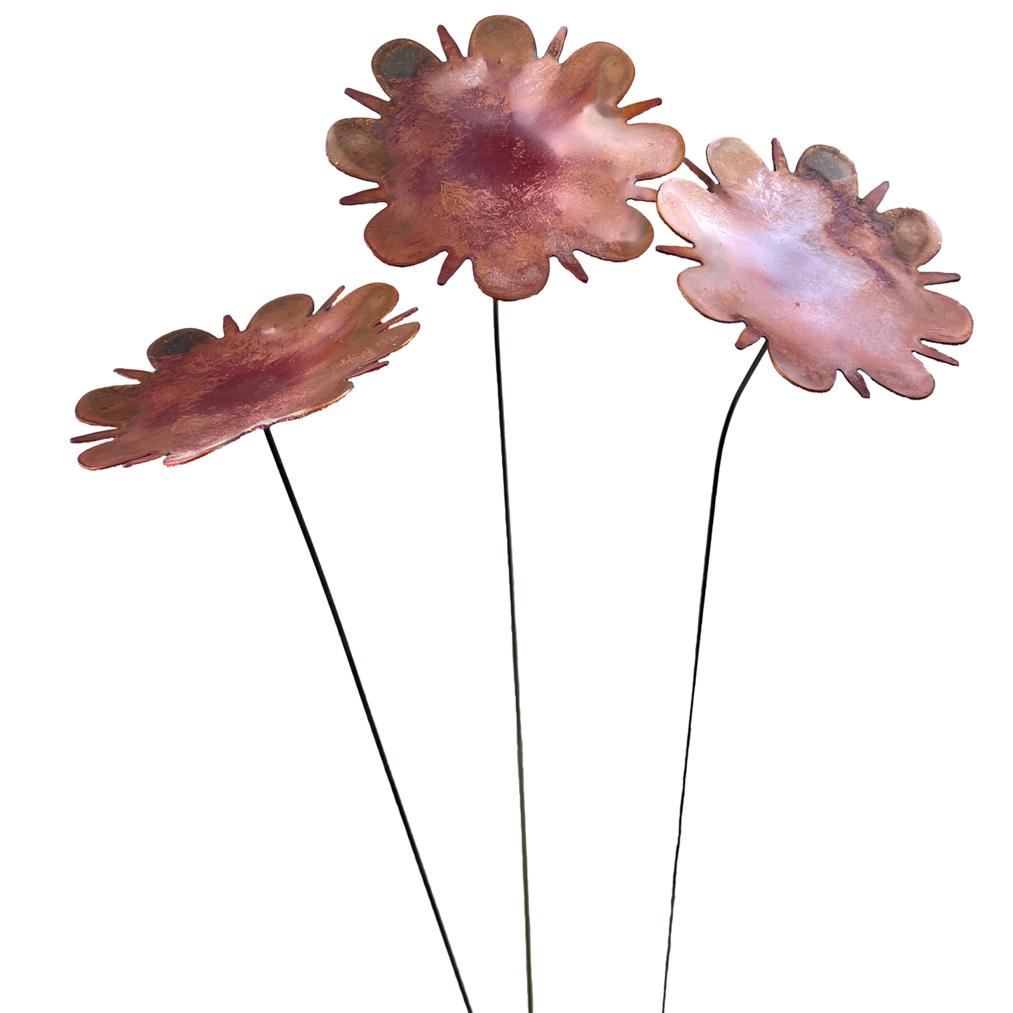 Extra Lg Natural Copper Flowers- 6 pc