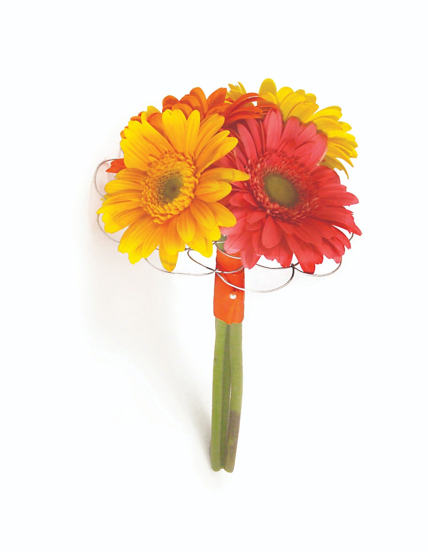 3 pack Easy Arranger
