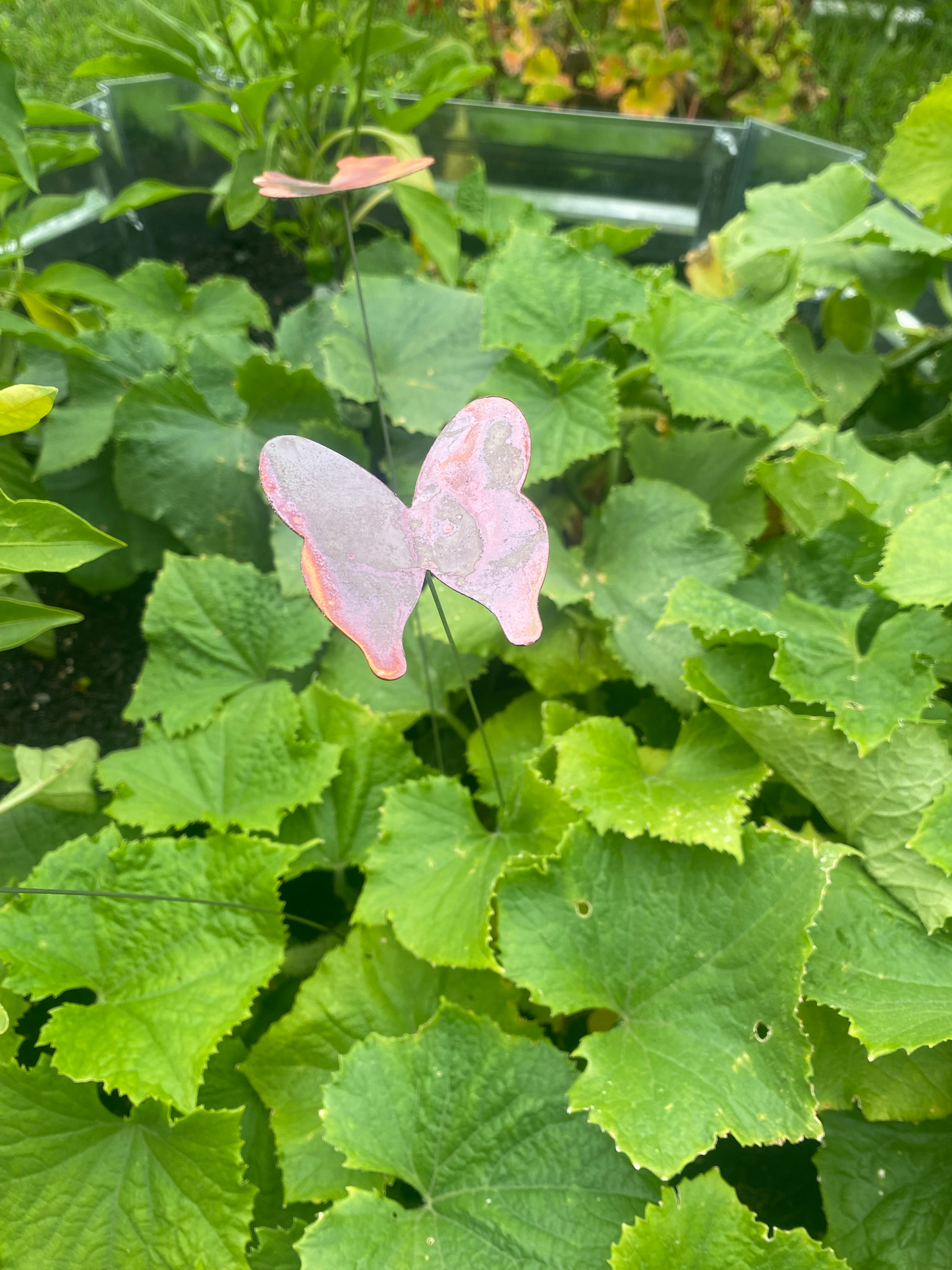 Medium Natural Copper Butterflies- set of 3