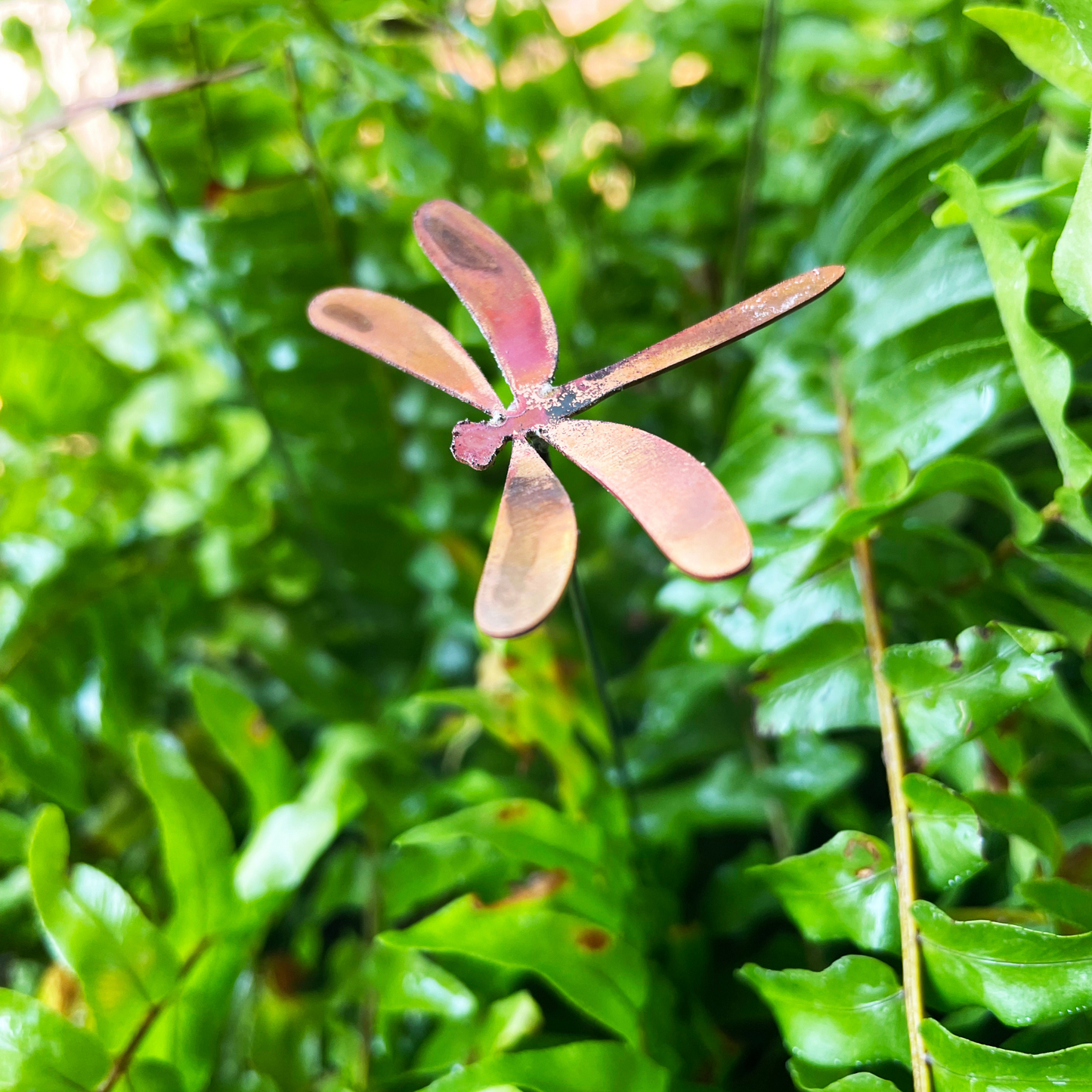 Small Natural Copper Dragonflies- Set of 6