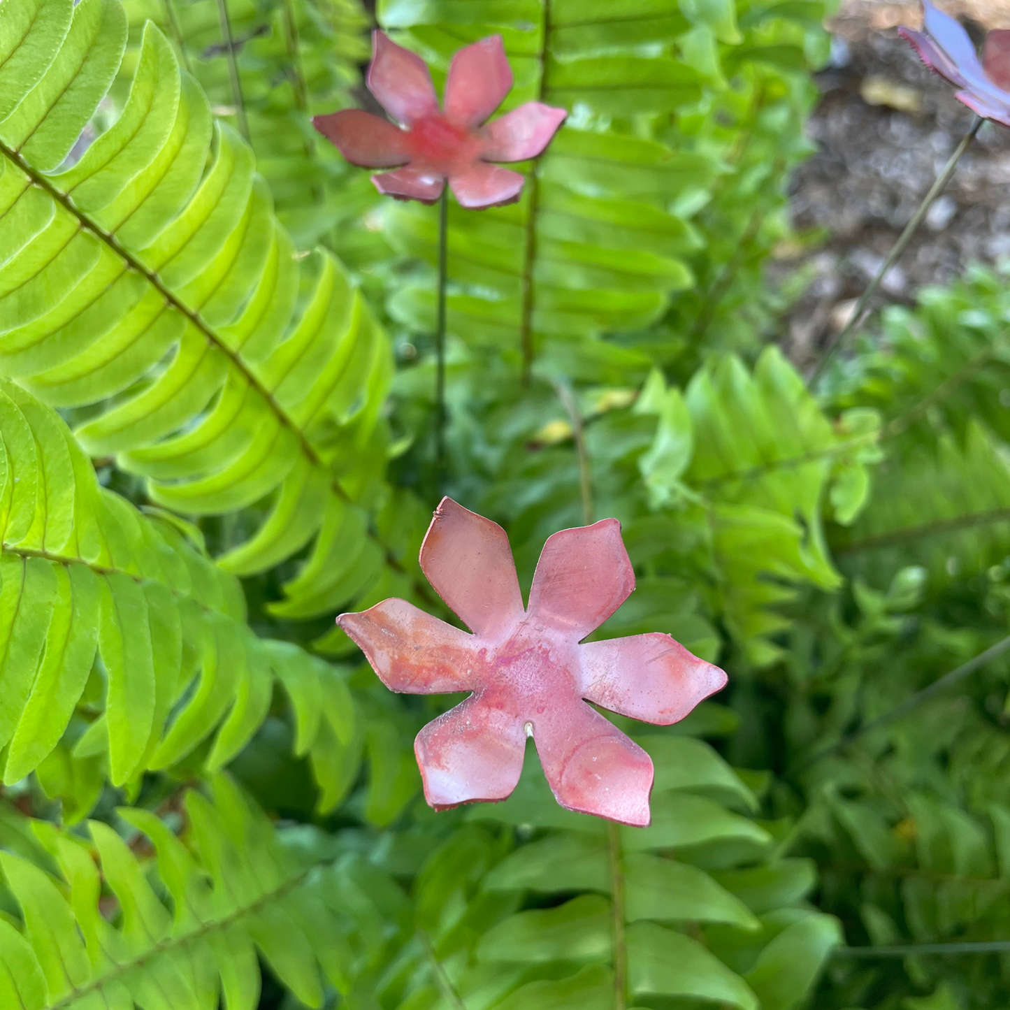 Medium Natural Copper Flowers