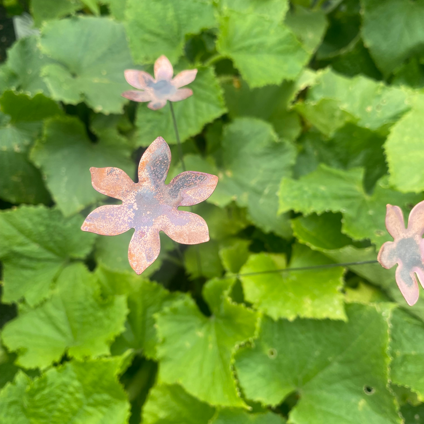 Medium Natural Copper Flowers