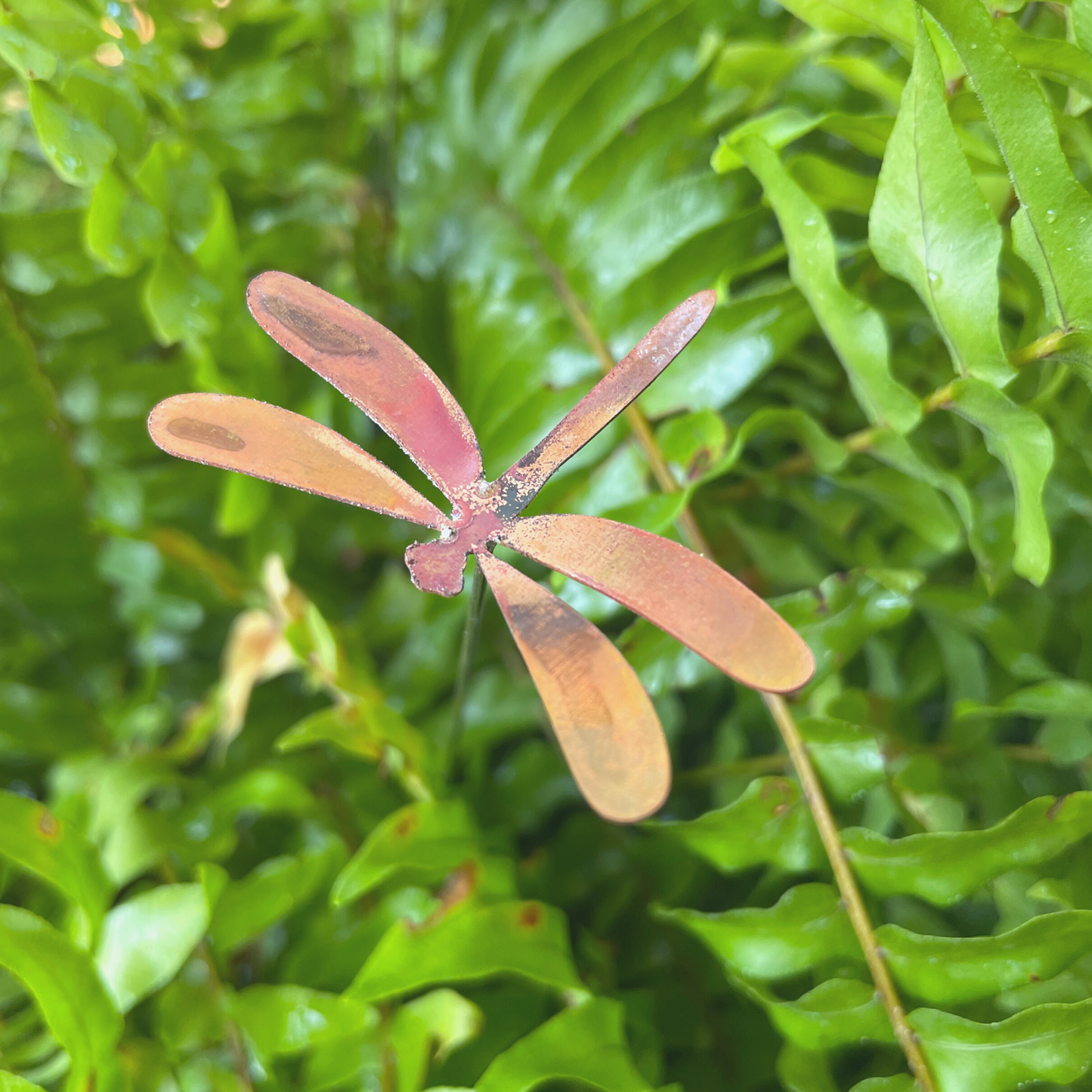 Small Natural Copper Dragonflies- Set of 6